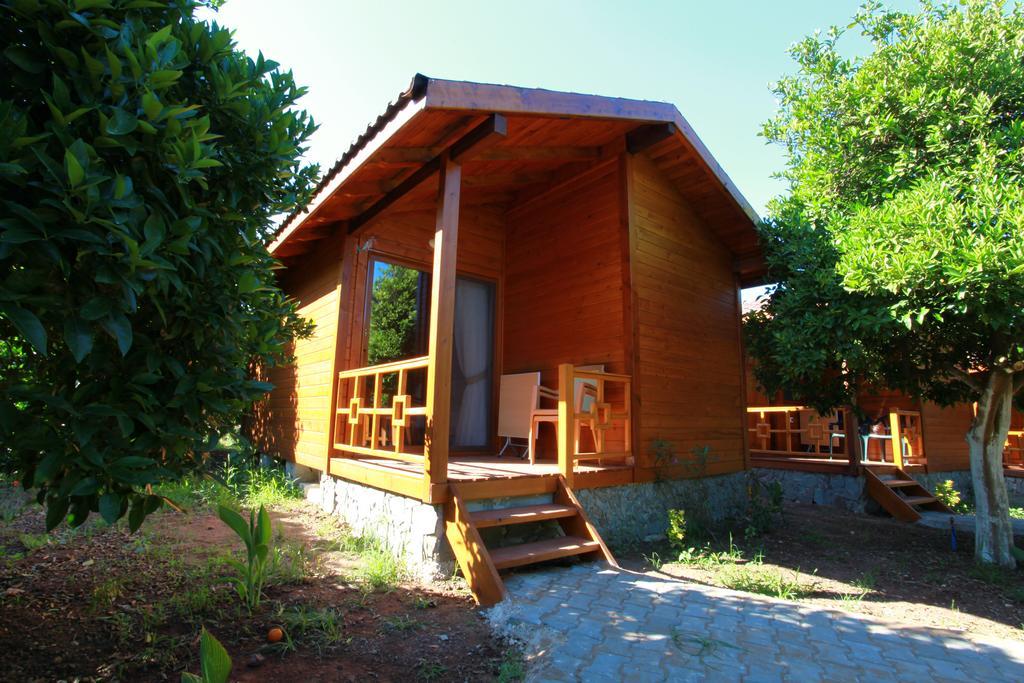 Safir Pansiyon Cirali Exterior photo