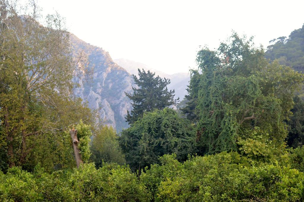 Safir Pansiyon Cirali Exterior photo